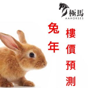 按揭轉介極馬 按揭中介極馬 按揭極馬 兔年 樓價 樓市 預測 極馬按揭轉介AAHORSES 加按 轉按 加按 按揭 銀行 mortgage remortgage